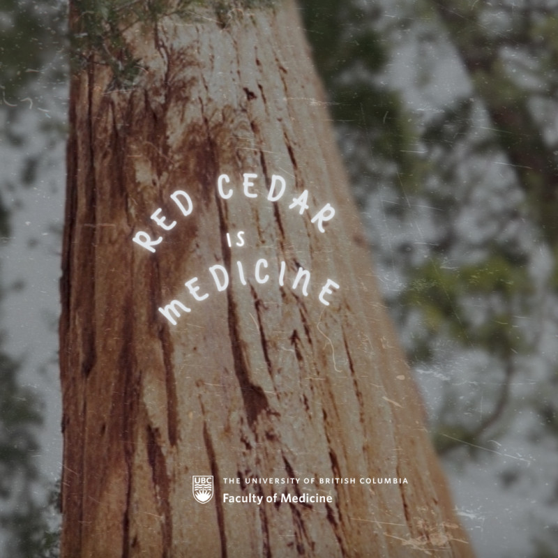Red Cedar is Medicine Curriculum
