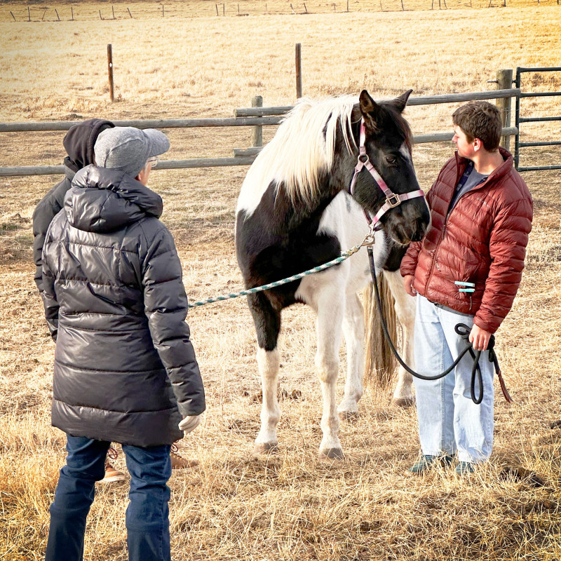 Exploring Wahkotowin curriculum