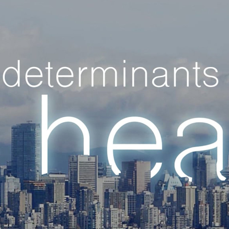 Social Determinant of Health curriculum