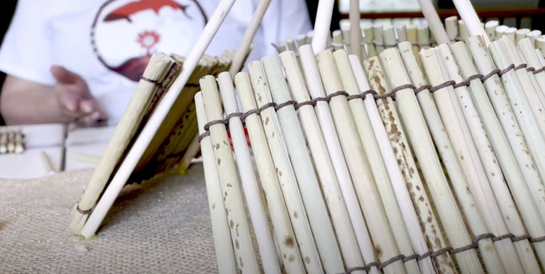 Why Story - Videos that share a story