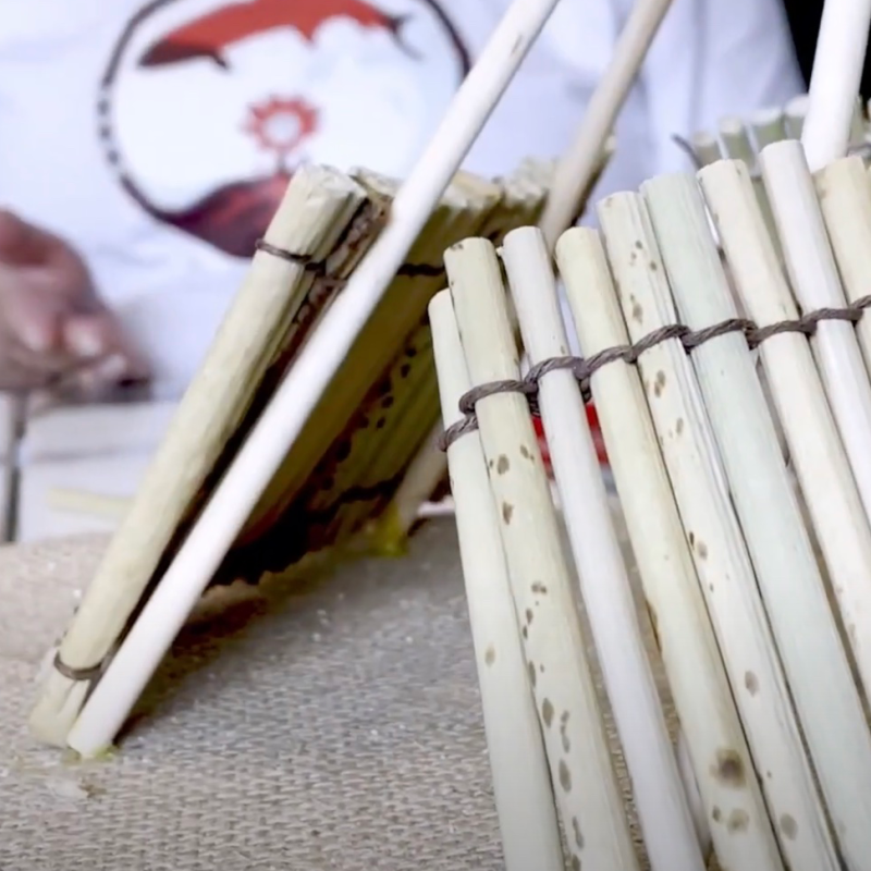 Why Story - Videos that share a story